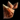 Roasted Aloe Seed.png