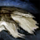 Scrap of Fur.png