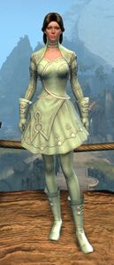 Appearance on light armor.