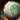 Seashell Shield.png