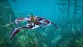 Skimmer under water