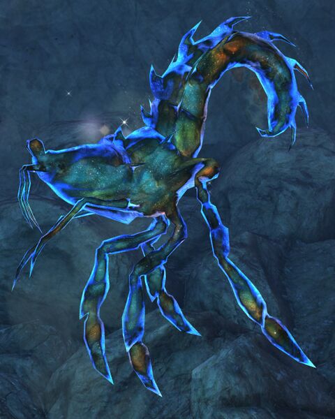File:Star Shrimp.jpg