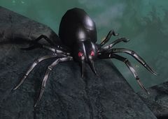 Veteran Plastic Spider.jpg