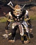 Charr male