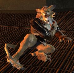 Drunken Soldier.jpg
