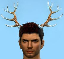 Enchanted Winter Antlers.jpg