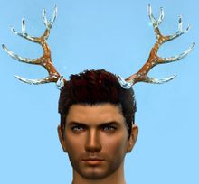 Enchanted Winter Antlers.jpg