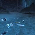 Thumbnail for version as of 19:35, 15 January 2023