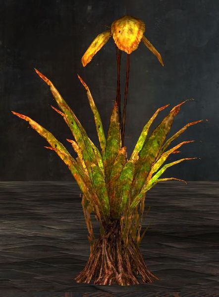 File:Lantern Bush Transformation.jpg