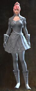 Appearance on light armor.