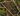 The Serpentwind map.jpg