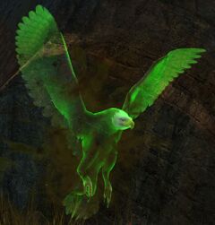 Veteran Risen Eagle.jpg