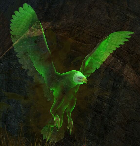 File:Veteran Risen Eagle.jpg