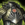 Whisper's Secret Breastplate.png