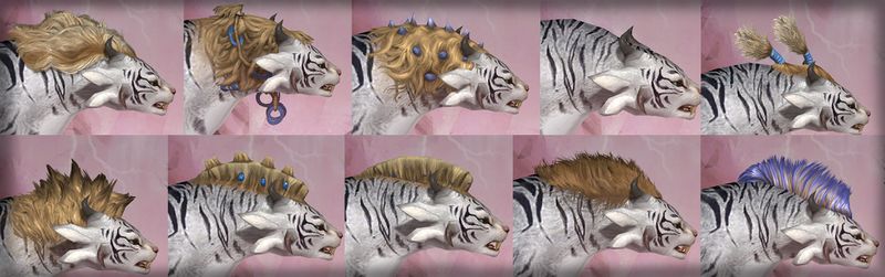 File:Charr-female-hairstyles-side.jpg