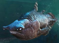 Coelacanth (alt).jpg