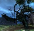 A druid husk without a spirit.