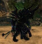 Echo of the Dragonvoid infusion.jpg