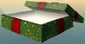 Green Wintersday Gift.jpg