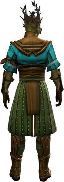 File:Gwen's Attire sylvari male back.jpg