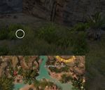 Hidden Carrot Hunt 6 map.jpg