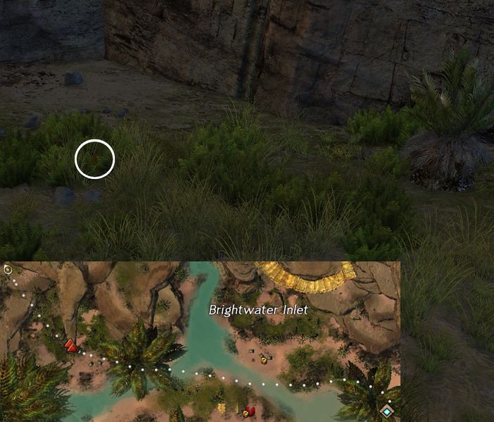 File:Hidden Carrot Hunt 6 map.jpg