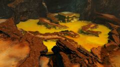Junundu Hatchery.jpg