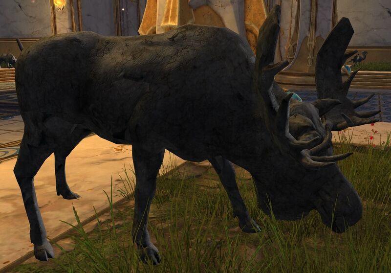 File:Moose (Exhibit).jpg