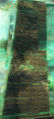 Thumbnail for version as of 22:29, 26 April 2016
