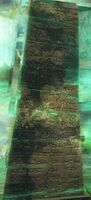 Orrian Runestone detail.jpg