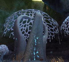 Otherworldly Fungus.jpg