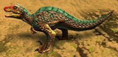 Pocket Raptor.jpg