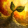 Propagation of the Fire Orchid.png