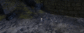 Thumbnail for version as of 08:11, 11 October 2020