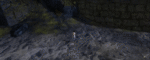 QB Trail 2.gif