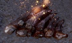 Rotten Dolyak Meat.jpg
