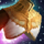 Sanctified Coat.png