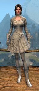 Appearance on light armor.