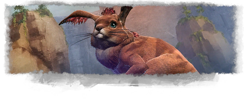 Springer banner.png