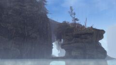 Stone Root.jpg