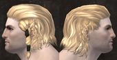 Unique norn male hair side 7.jpg