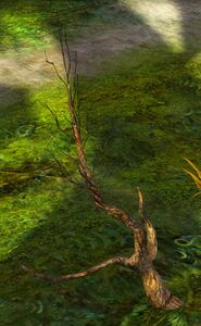 Vine Wall Build Site.jpg