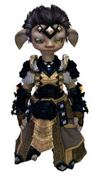 Armor of Koda (light) asura male front.jpg