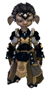 Armor of Koda (light) asura male front.jpg