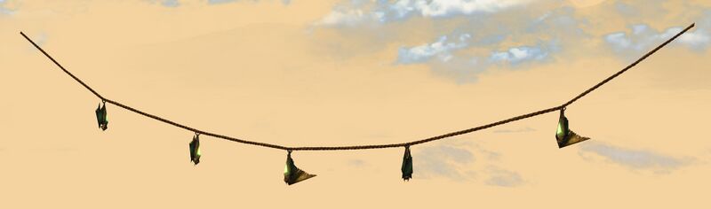 File:Bat Lanterns.jpg