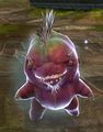 Choya challenger.