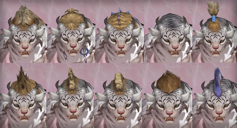 File:Charr female hair styles.jpg