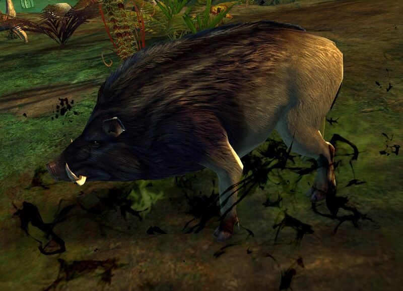 File:Jungle Boar (Whitland Flats).jpg