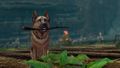 Lucky Dog Harvesting Tool.jpg