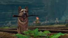 Lucky Dog Harvesting Tool.jpg